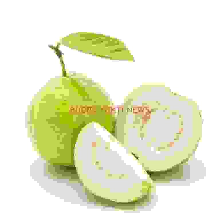 1663140445748_SKU-0022_0