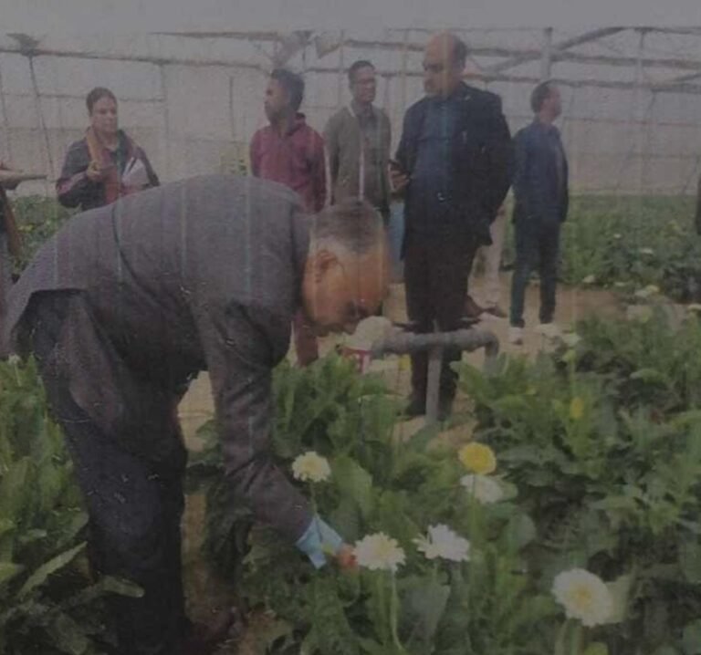 IMG-20260202-WA0010(1)